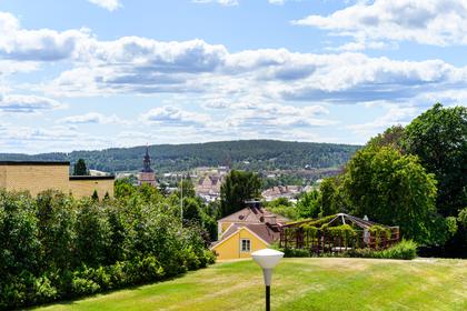 Bild av närområdet