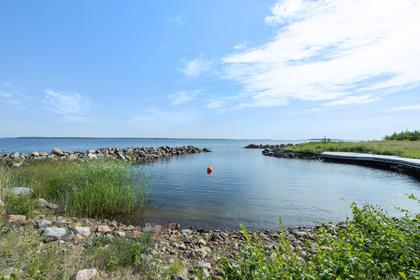 Bild av närområdet