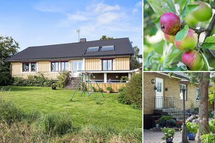 Bild av närområdet