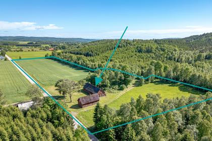 Bild av närområdet
