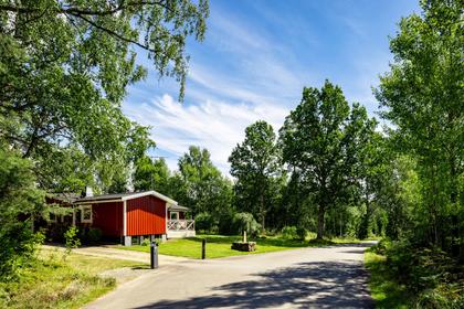 Bild av närområdet