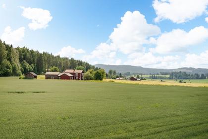 Bild av närområdet