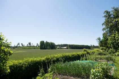 Bild av närområdet