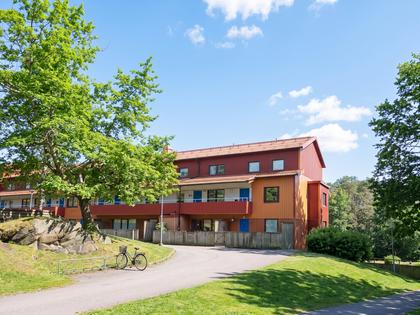 Bild av närområdet