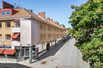 Bild av närområdet