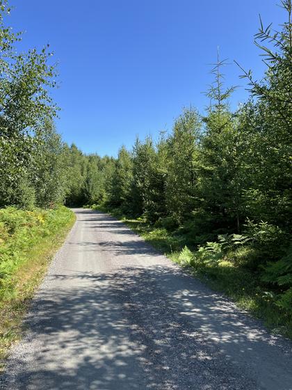 Bild av närområdet