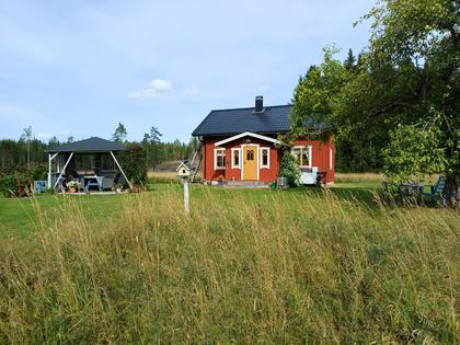 Bild av närområdet