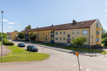 Bild av närområdet