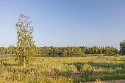 Bild av närområdet