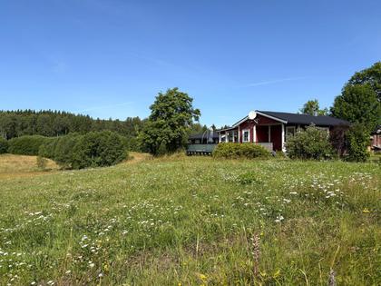Bild av närområdet