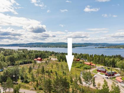 Bild av närområdet