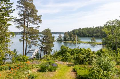 Bild av närområdet