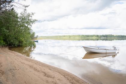 Bild av närområdet