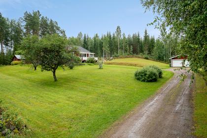 Bild av närområdet