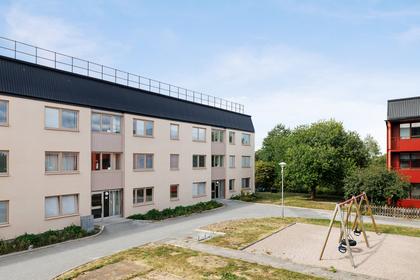 Bild av närområdet