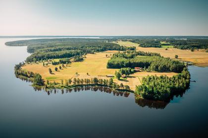 Bild av närområdet