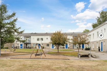 Ormvråksvägen 9B, Västkusten