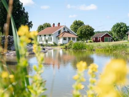 Bild av närområdet