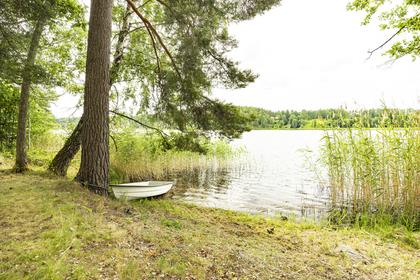 Bild av närområdet