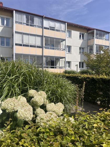 Exteriörbild
