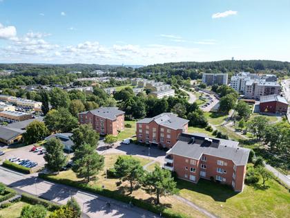 Bild av närområdet