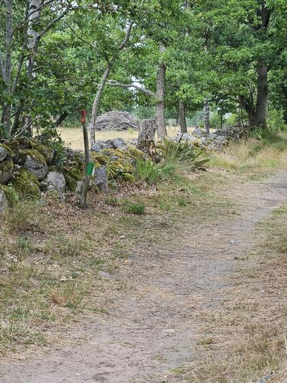 Illustrerad karta över fastigheten eller området