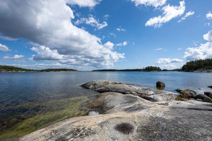 Bild av närområdet