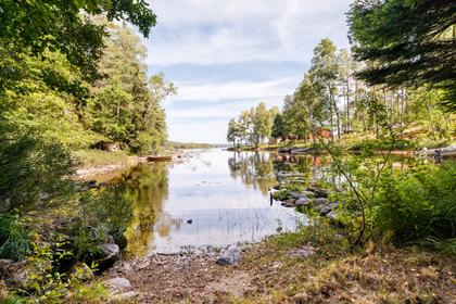 Bild av närområdet