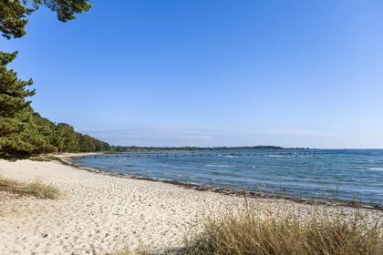Bild av närområdet