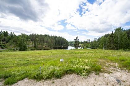 Bild av närområdet
