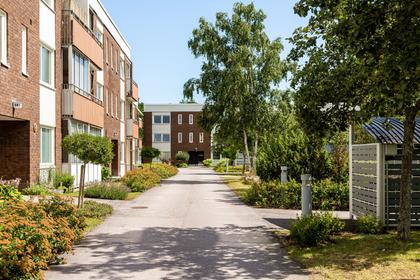 Bild av närområdet