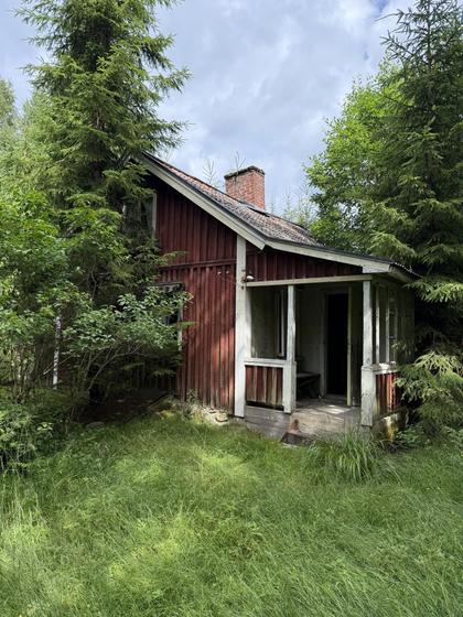 Bjärn Klockaremon 3, Årjäng