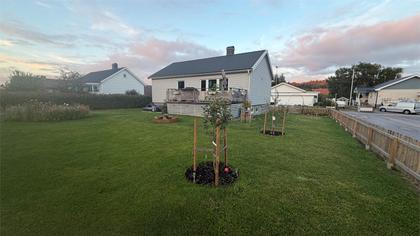 Exteriörbild