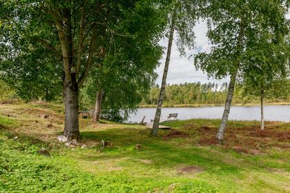 Bild av närområdet