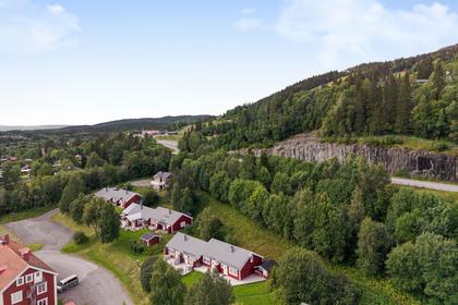 Bild av närområdet
