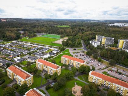 Bild av närområdet