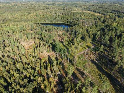 Illustrerad karta över fastigheten eller området