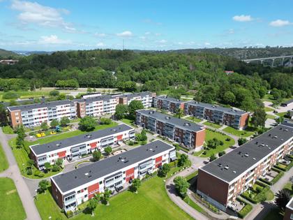 Bild av närområdet