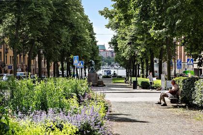 Bild av närområdet