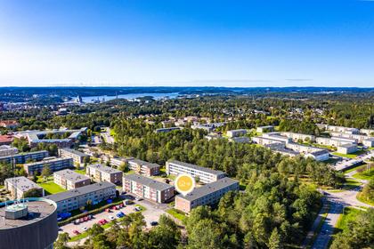 Bild av närområdet