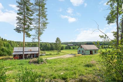 Bild av närområdet