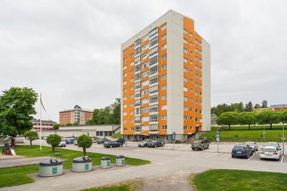Bild av närområdet