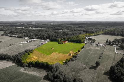 Bild av närområdet