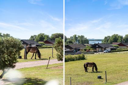 Bild av närområdet