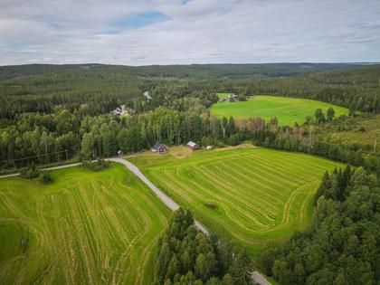 Bild av närområdet