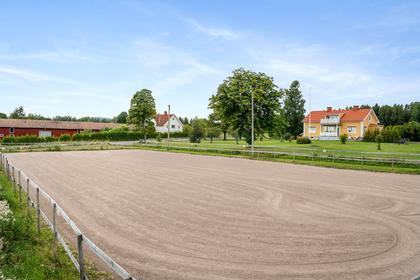 Bild av närområdet