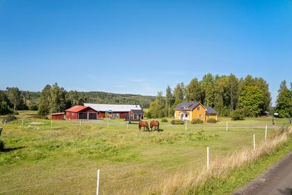 Bild av närområdet