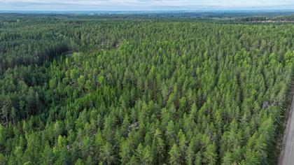 Illustrerad karta över fastigheten eller området