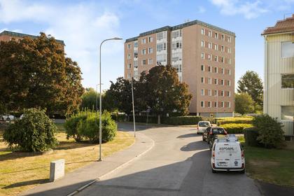 Bild av närområdet