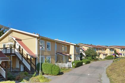 Bild av närområdet